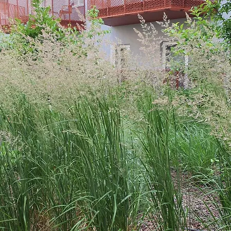 Apartment Good Time Dabrowskiego 58