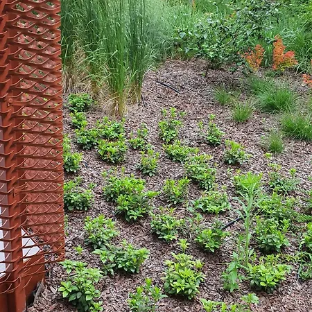 Good Time Dabrowskiego 58 * Posen