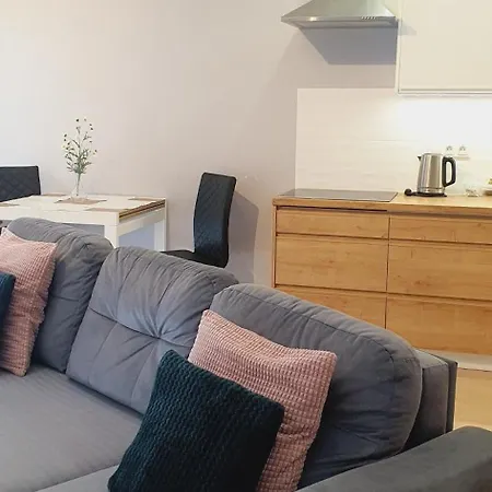 Apartment Good Time Dabrowskiego 58 *