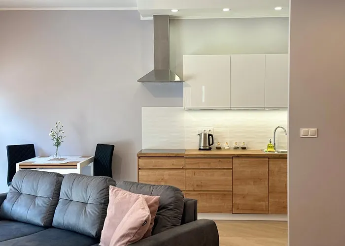 Good Time Dabrowskiego 58 Apartment