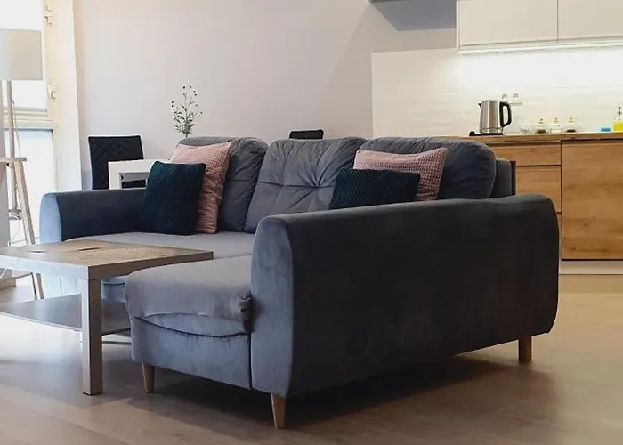 Apartment Good Time Dabrowskiego 58